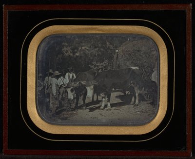 Peasants with Oxen and Wagon by Jean Gabriel Eynard